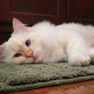 Meet your Posher, Jeremy